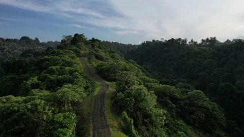 Ubud Bukit Cinta Bali 動画素材 212849565