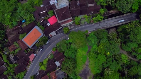Ubud Campuhan Bridge traffic over streaming river in jungle. Fabulous aerial Stock Footage 341553545