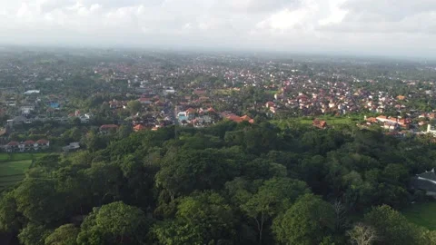 Ubud city and Monkey Forest Stock Footage 329894225