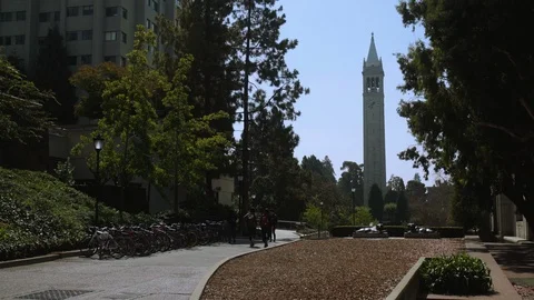 UC Berkeley Campanile and Campus Wide Stock Footage 117266348
