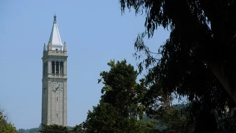 UC Berkeley Campanile through trees Stock Footage 117266560