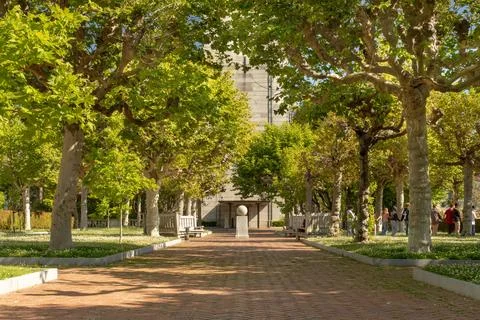 At UC Berkeley Stock Photos
