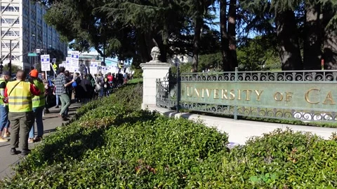 UC Graduate Workers striking on the picket line Stock Footage 221279960