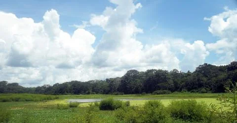 Ucayali Stock Photos