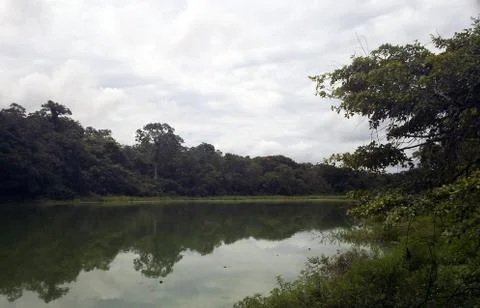 Ucayali Stock Photos