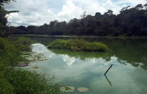 Ucayali Stock Photos