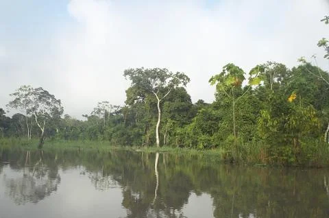 Ucayali Stock Photos