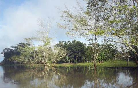 Ucayali Stock Photos