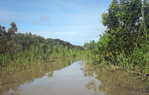 Ucayali Stock Photos