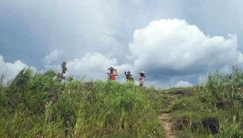 Ucayali Stock Photos