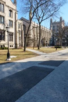 UChicago Campus Foto stock