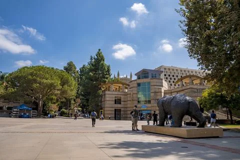 UCLA Bruin Bear on the University of California, Los Angeles, campus. Stock Photos