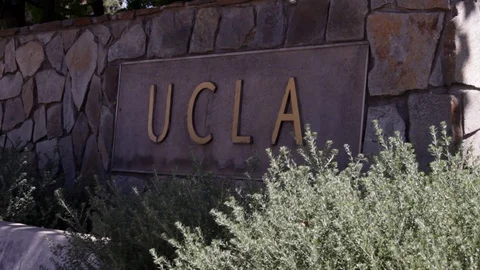 UCLA Campus Part 1 Stock Footage