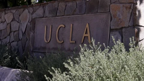 UCLA Campus Part 1 Stock Footage 344928150