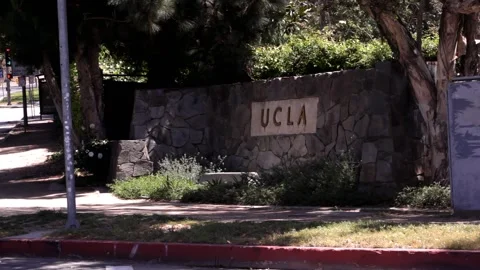 UCLA Campus Westwood Stock Footage 344927729