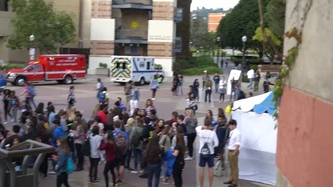 UCLA Crowd Stock Footage 84955398