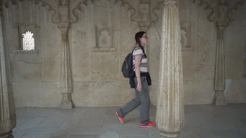 Udaipur fort Stock Footage 111825678