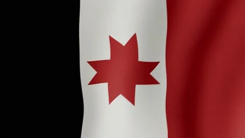 Udmurt Republic. The flag flutters in the wind Video stock 215801837