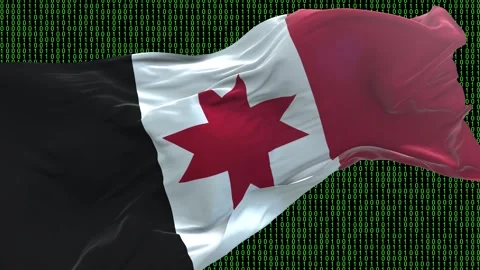Udmurtia flag - Waving flag on matrix binary code background Stock Footage 321421994