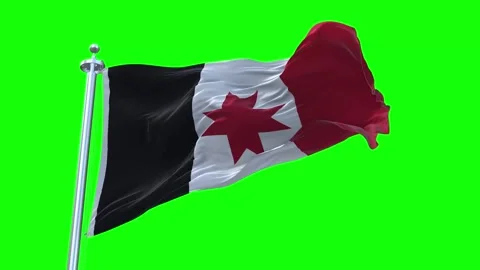 Udmurtia Flag Waving in Loopable and Textured green screen background Stock Footage 296875964