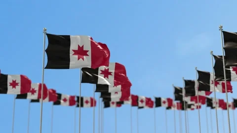 Udmurtia Row Of Flags Animation Stock-Footage 148802057