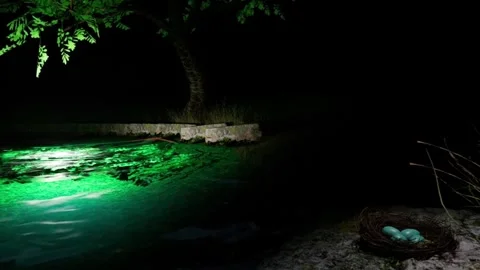 UE5 Sci-Fi Glowing Green Lake with Lone Tree 3D Render Stock Footage 339629135
