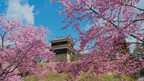 Ueda castle and Cherry Blossoms in Nagano, Japan : gimbal Vidéo 106151343