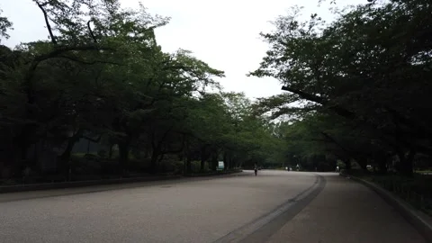 Ueno Park Stock Footage 148183218
