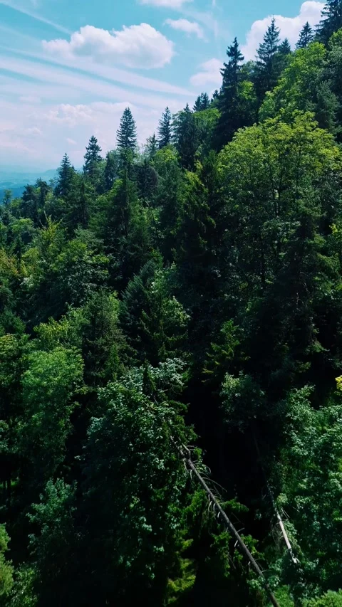 Uetliberg from Funikulor Video stock 338258291