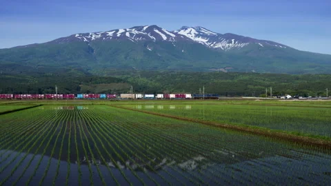 Uetsu Line Freight Train (Upbound) Crossing Rice Fields with Mount Chokai in the Stock Footage 332058306