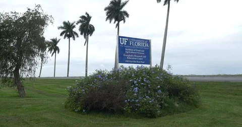 UF Everglades Research Stock Footage 75382770