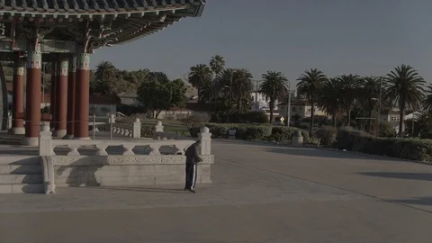 UFC training camp Stock Footage 85007710