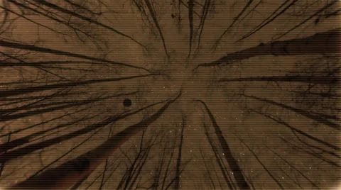 UFO Above Trees Stock-Footage 49998158