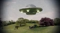 UFO alien abduction cow ufo unidentified flying object aliens close encounter 4k 4k or 4k+ Resolution