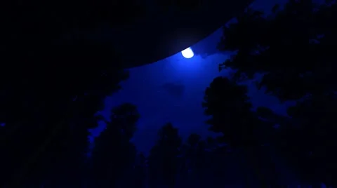 UFO flies over the forest Stock Footage 61484394