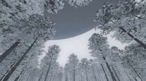 UFO flying over forest Stock Footage 61484412