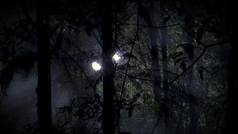 UFO in the Forest Stock Footage 106317182