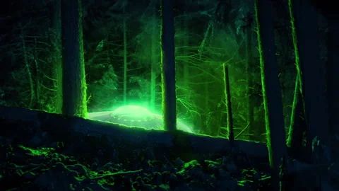 置物 glowing forest Toys4Boys Domowe Planetarium Projektor Gwiazd Homestar Flux