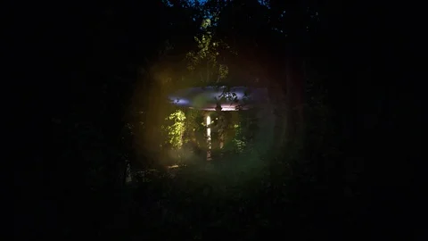 UFO over Forest Stock Footage 125432513