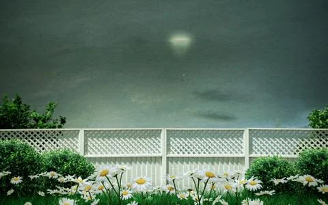Ufo over a lawn Stock Illustration