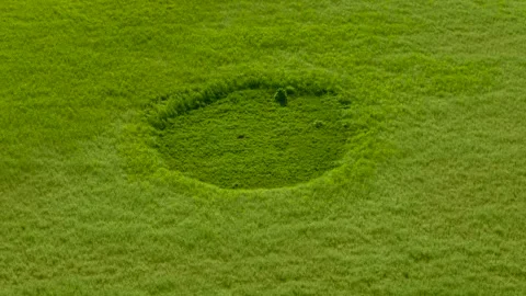 UFO trace formation visible in expansive green field. Elevated nature scenery 스톡 동영상 342805685
