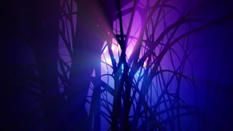 UFOBehndTrees Stock Footage 149448945