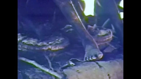 UGANDA - 1955 - In this documentary, a man pushes on two drums that bellow air Stock Footage 341982814