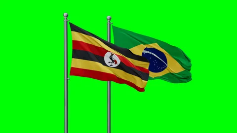 Uganda and Brazil flags Stock Footage 292823765
