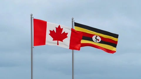 Uganda and Canada flag Video stock 252028559