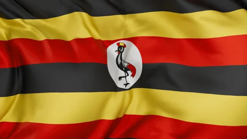 Uganda cloth flag background loop Stock Footage 310850967