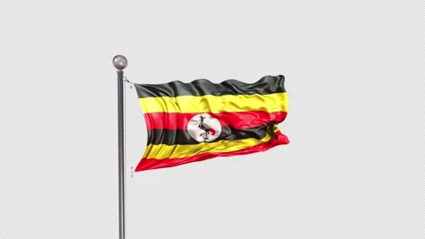 Uganda Flag  Animation Loop Include Alpha 3D Rendering Stock-Footage 312111591