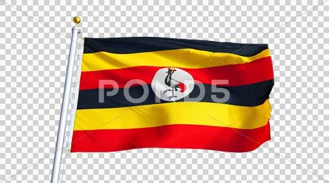 Uganda flag, close up, isolated with alpha channel Stock Photos
