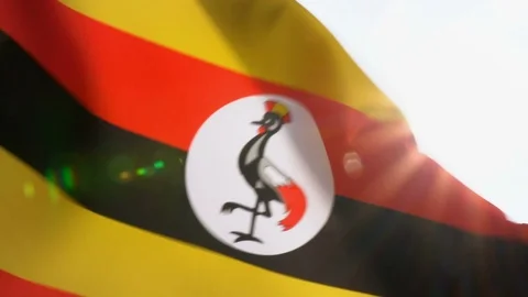 Uganda Flag Flapping Stock Footage 118964726