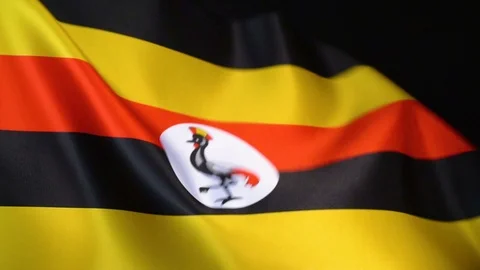 Uganda Flag Flapping Stock Footage 118968834